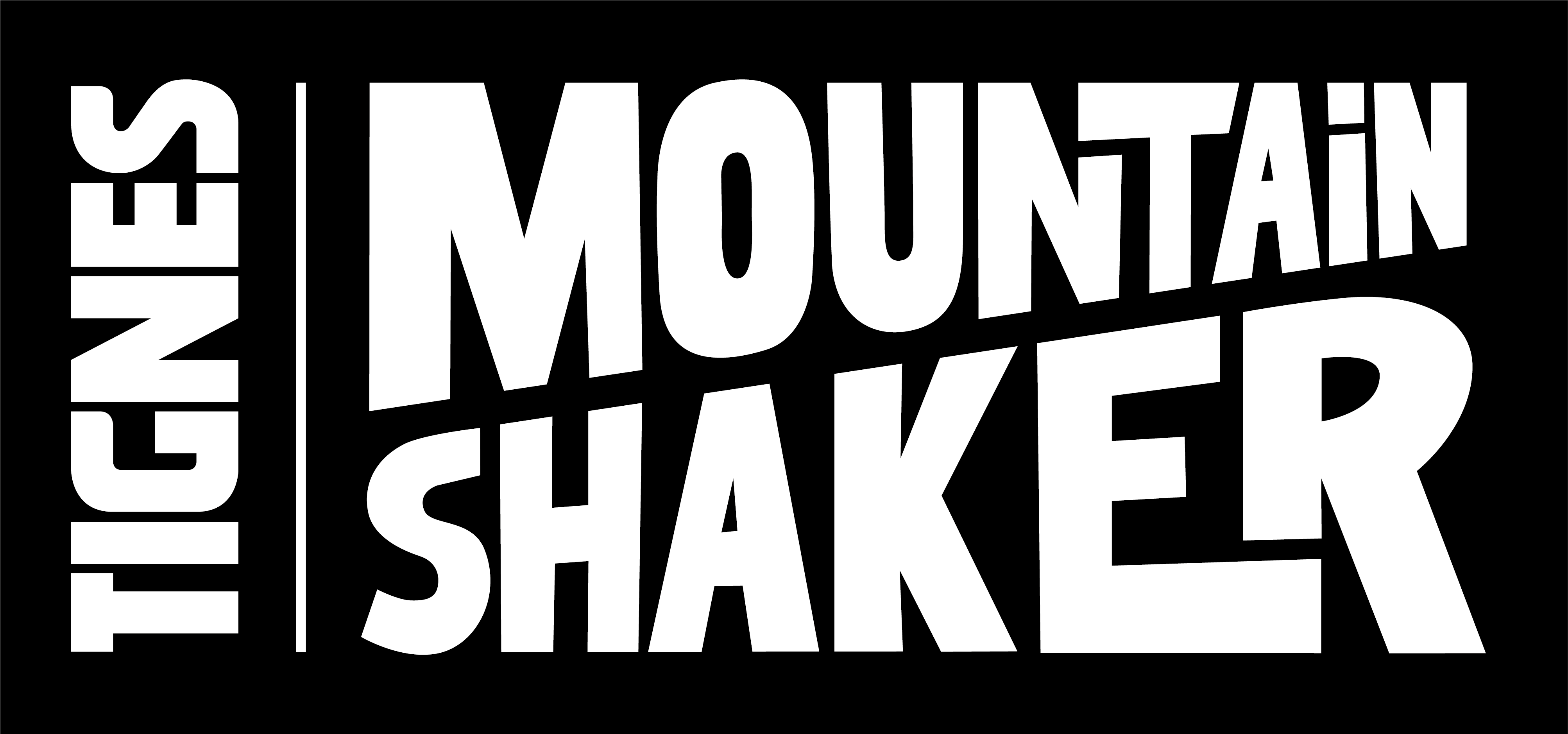 Logo Mountain Shaker