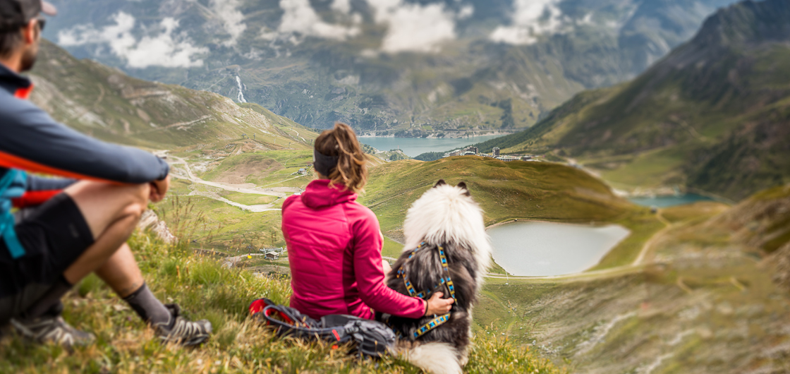 Comment profiter de Tignes en été avec son chien